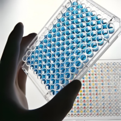 ELISA Kit for Animal Health
